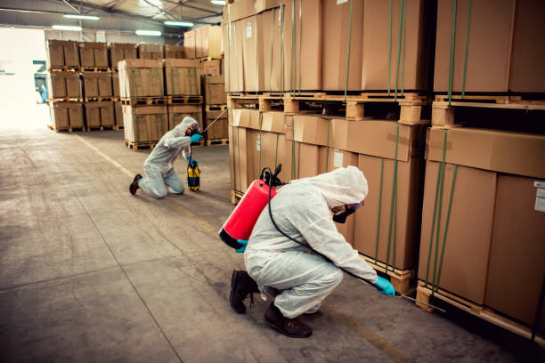 Best Affordable Pest Control Services  in Jamestown West, NY