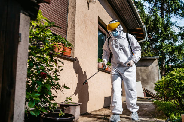  Jamestown West, NY Pest Control Pros