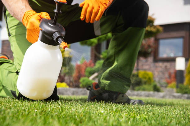 Best Mosquito Control Services  in Jamestown West, NY