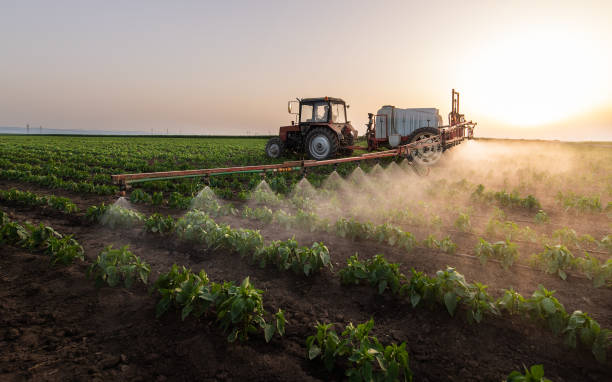 Professional Pest Control in Jamestown West, NY