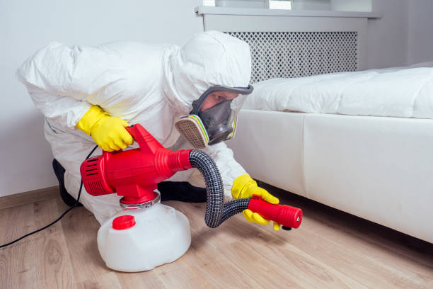 Best Best Pest Control Near Me  in Jamestown West, NY