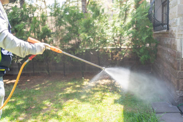 Wasp Removal Services in Jamestown West, NY