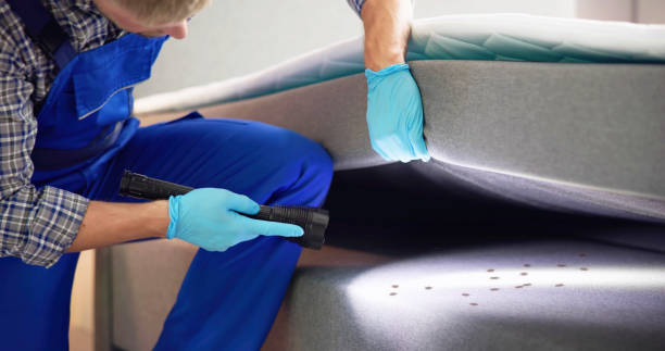 Best Pest Control Near Me  in Jamestown West, NY