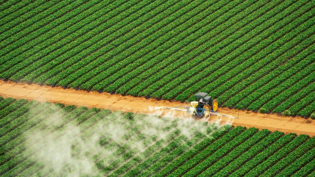 Best Commercial Pest Control Services  in Jamestown West, NY