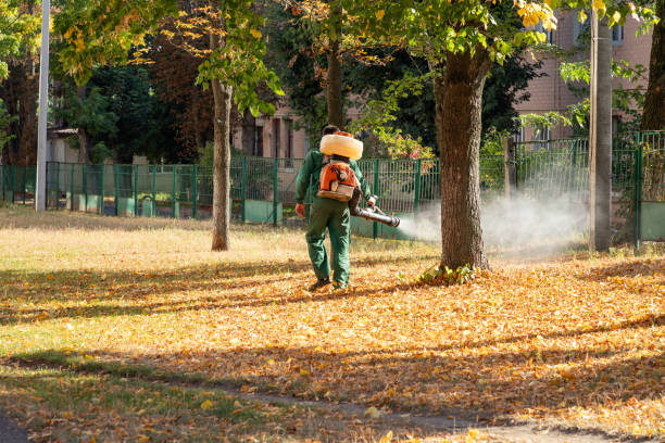 Best Rodent Control Near Me  in Jamestown West, NY