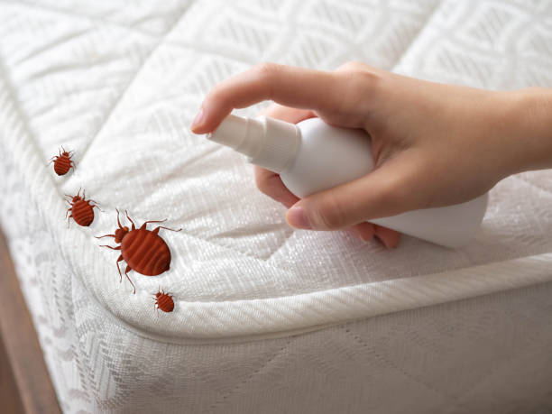Best Residential Pest Control  in Jamestown West, NY