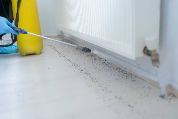 Best Best Pest Control Companies  in Jamestown West, NY