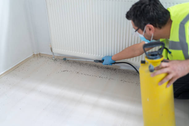 Best Pest Removal Services  in Jamestown West, NY